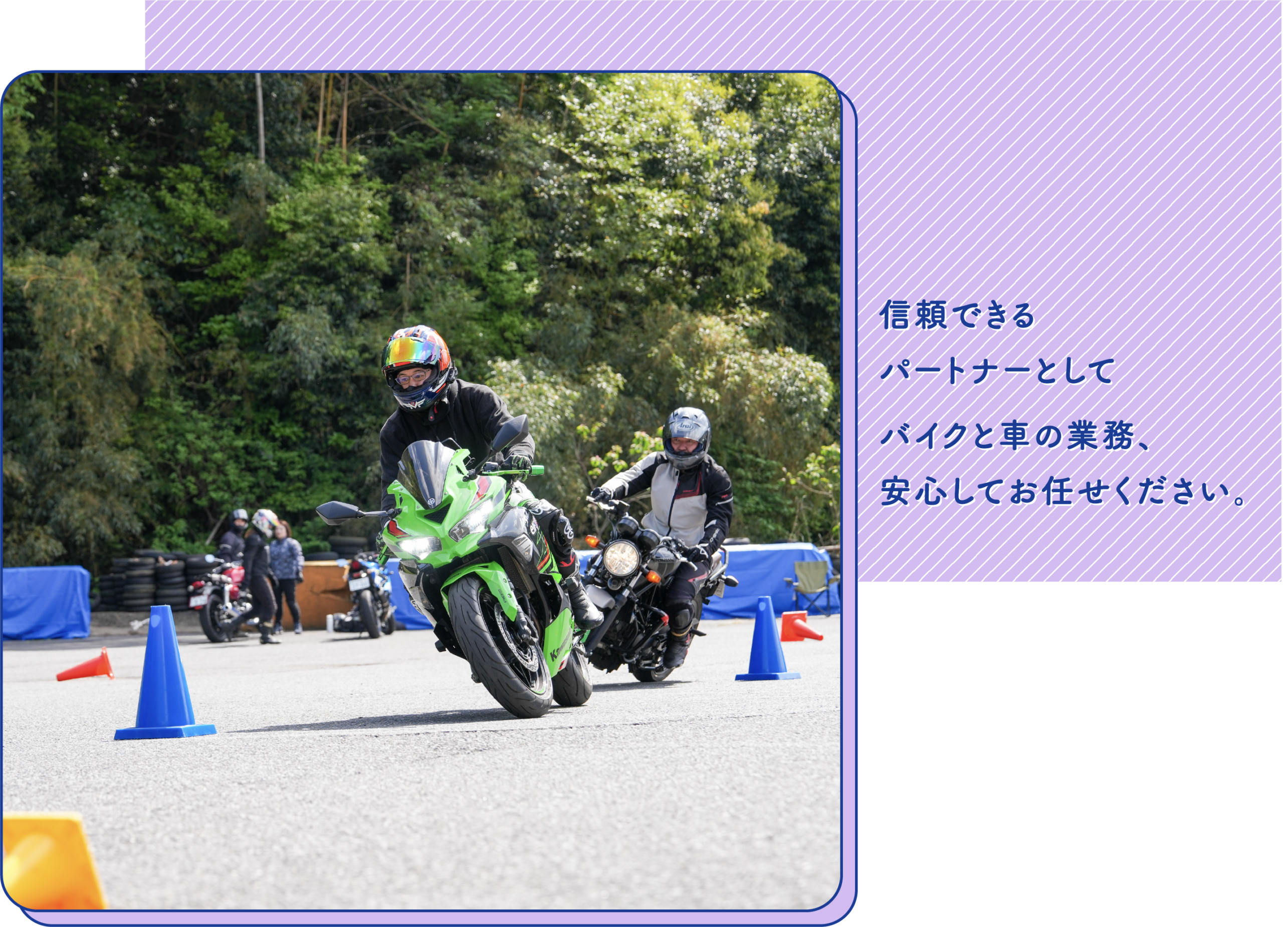 ルピナスヒーロー
